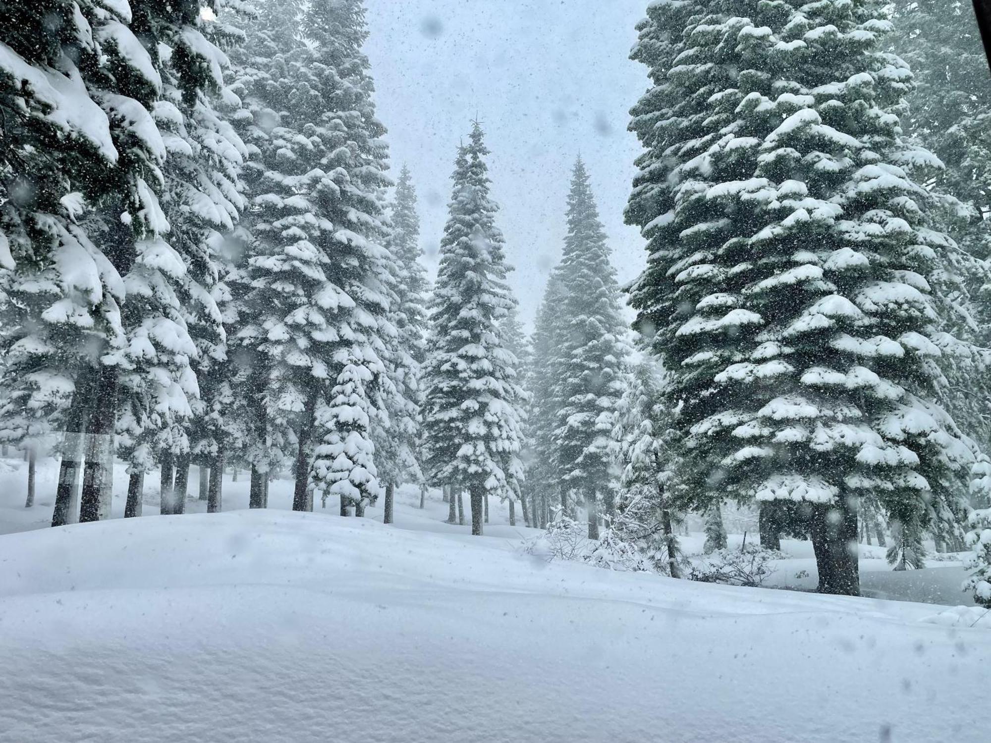 Bear Meadows Lodge - Hot Tub - Tahoe Donner Home 트럭키 외부 사진