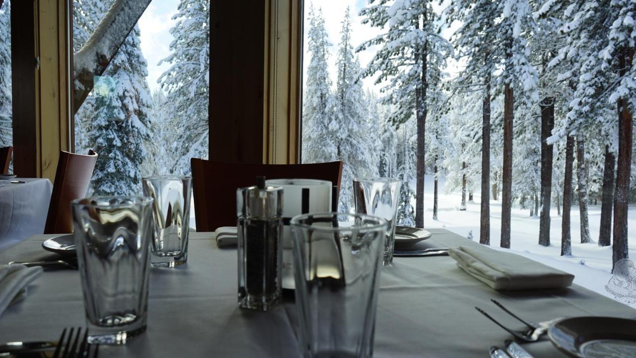 Bear Meadows Lodge - Hot Tub - Tahoe Donner Home 트럭키 외부 사진